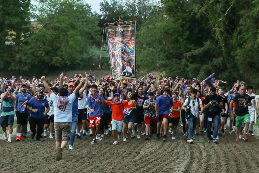 immagine di sfondo 8