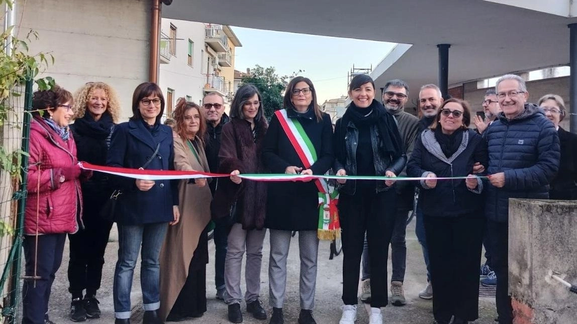 Bosco urbano contro i gas nocivi. Alberi nei quartieri e sulle ciclabili. E la città è sempre più vivibile Bosco urbano contro i gas nocivi. Alberi nei quartieri e sulle ciclabili. E la città è sempre più vivibile