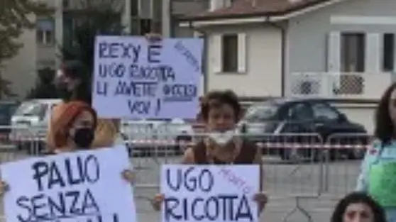 "Cominciamo a pensare ad una competizione senza gli animali" "Cominciamo a pensare ad una competizione senza gli animali"