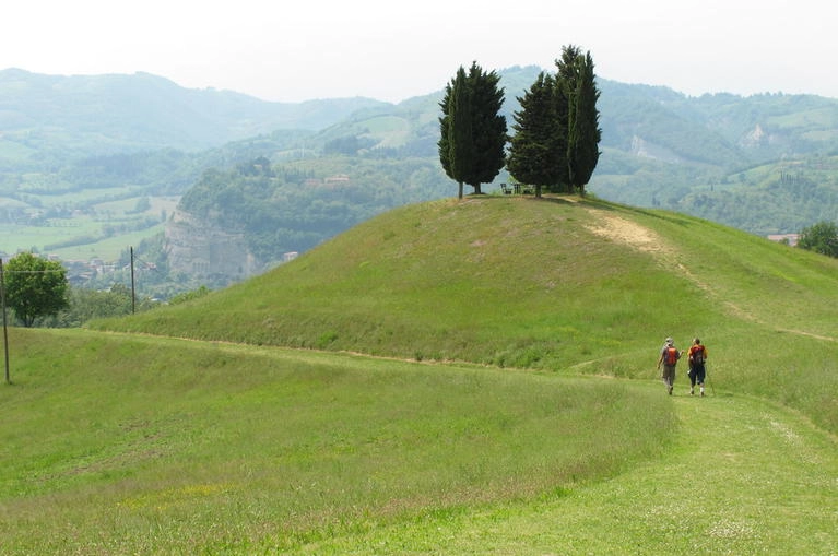 immagine di sfondo 3