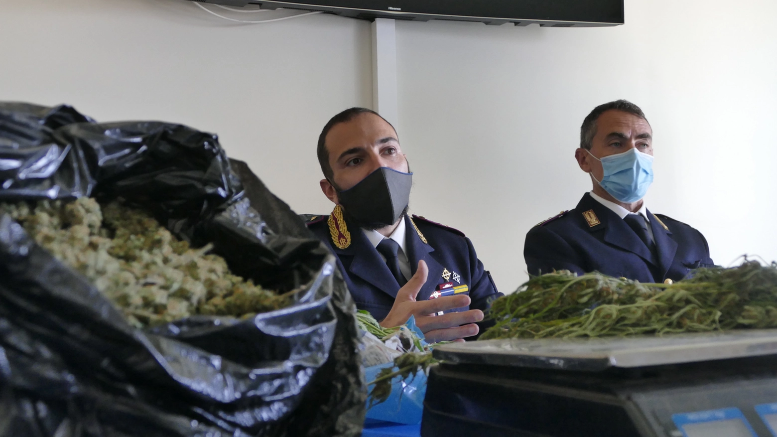 I poliziotti illustrano l'operazione mostrando parte delle piante sequestrate 