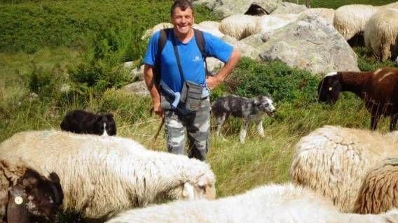 Emergenza foraggio Allevamenti biologici Nuova proroga in arrivo Emergenza foraggio Allevamenti biologici Nuova proroga in arrivo