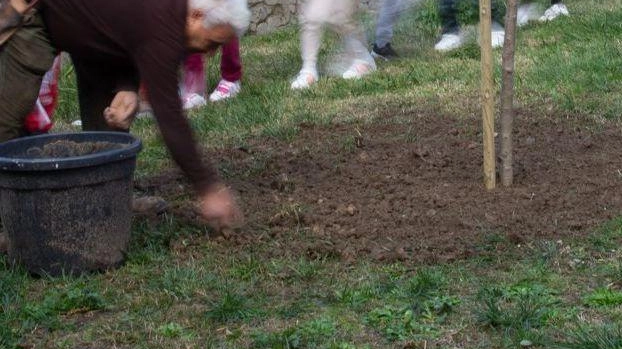 Un nuovo albicocco per educare i bambini Un nuovo albicocco per educare i bambini