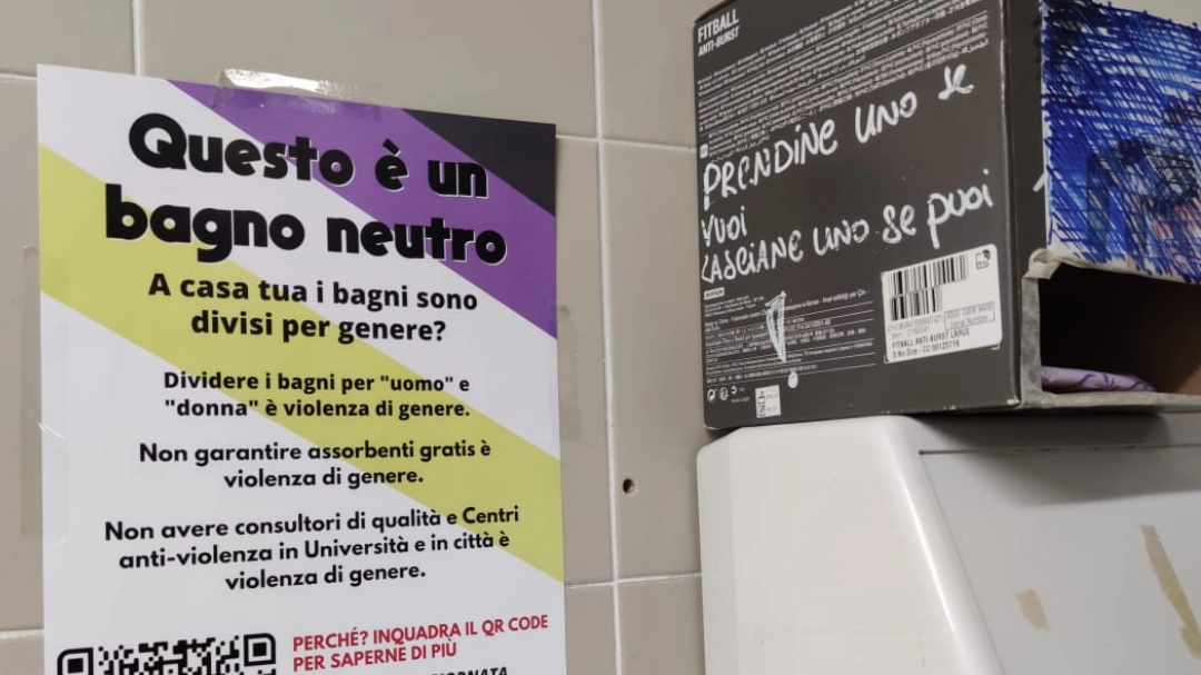 Uno dei manifesti nei bagni dell'università di Pisa