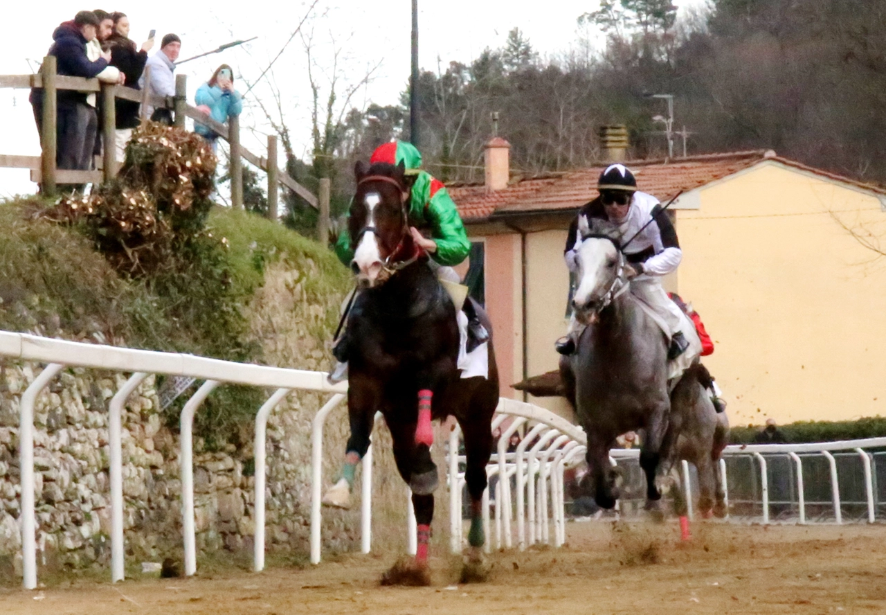 immagine di sfondo 4