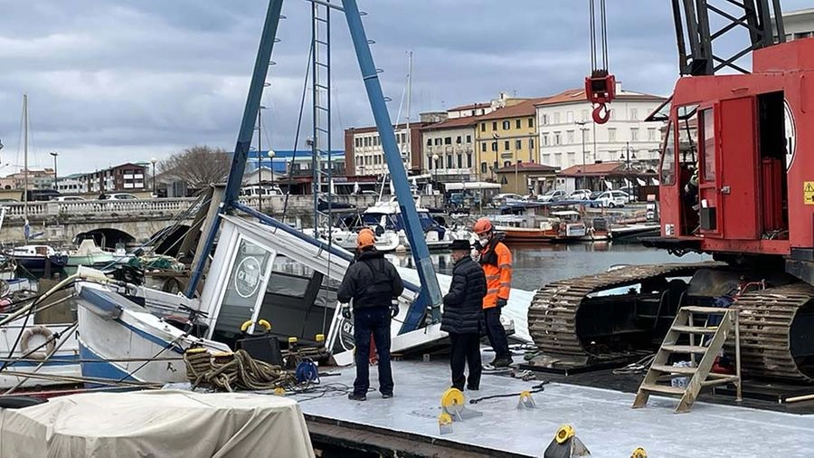immagine di sfondo 5