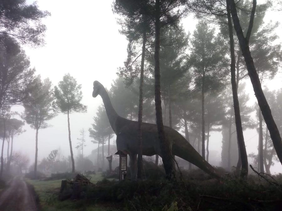 immagine di sfondo 2