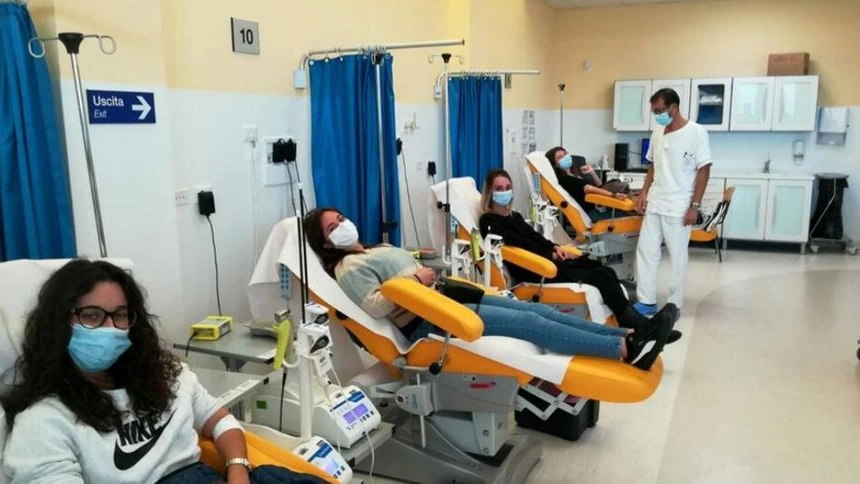 Danatori di sangue Danatori di sangue