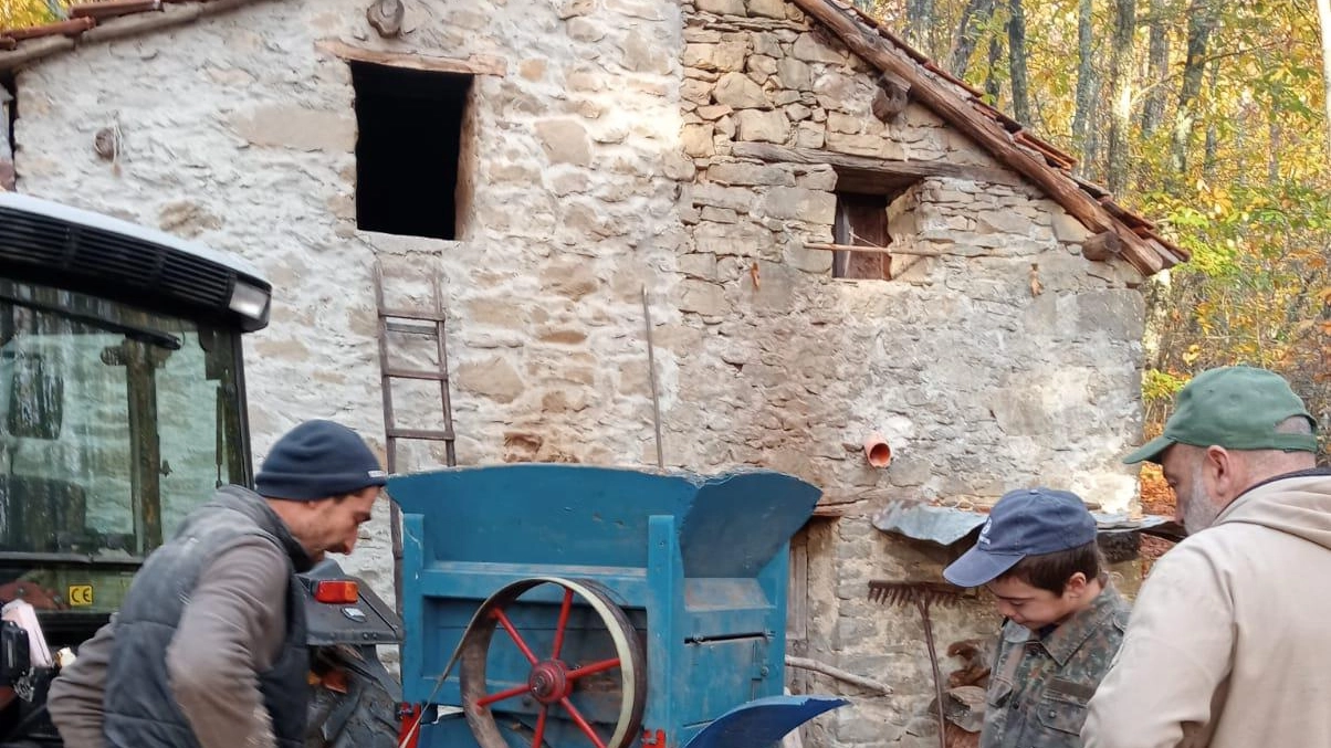 La farina di castagne è campione d’Italia La farina di castagne è campione d’Italia