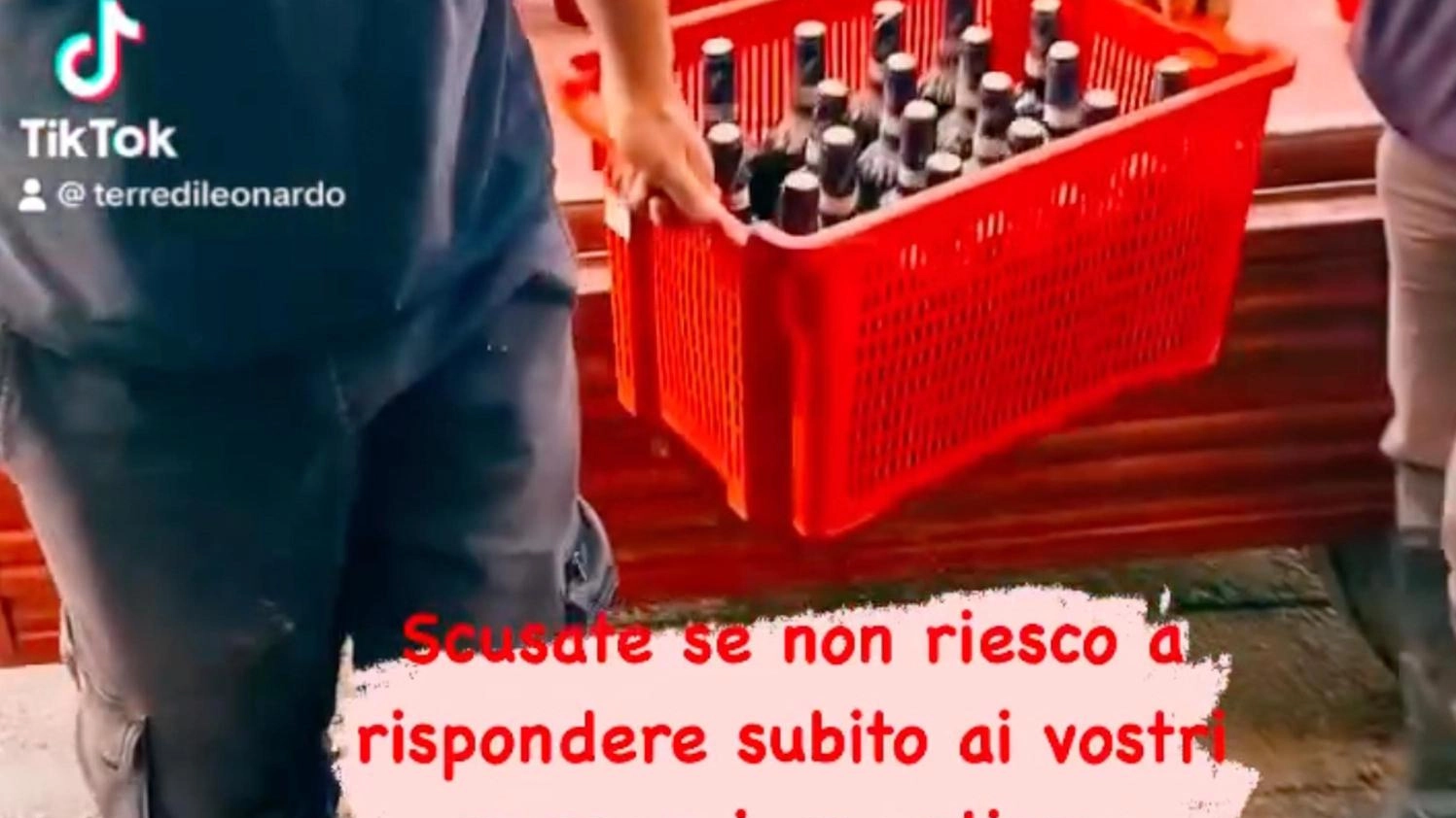 Cantine alluvionate. Un flagello per il vino. L’azienda agricola:: "Siamo in ginocchio"