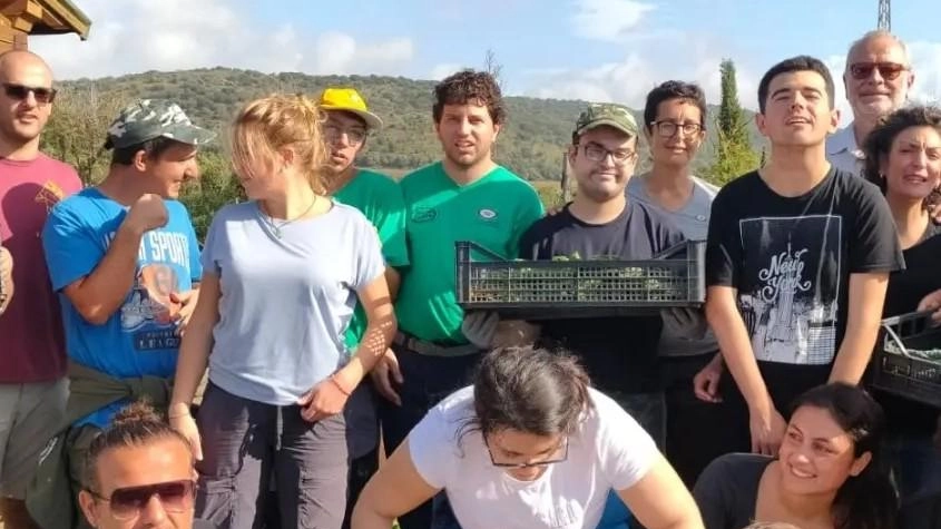 Cantina del Morellino. Per "L’Orto giusto" un progetto di...vino Cantina del Morellino. Per "L’Orto giusto" un progetto di...vino
