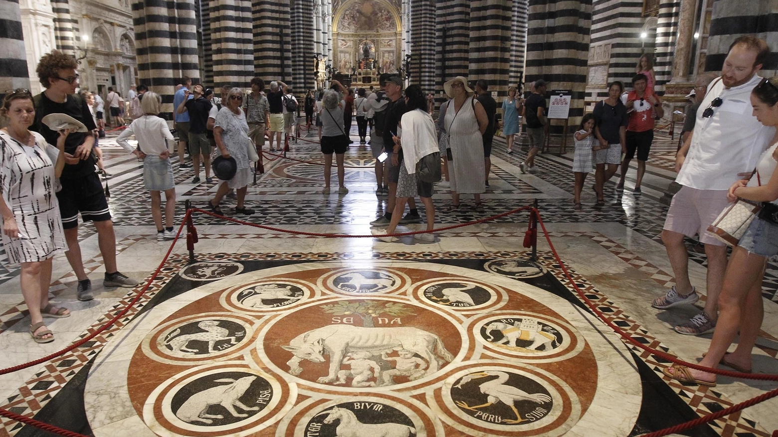 ’Come stelle in terra’ Il pavimento del Duomo torna a scoprirsi ’Come stelle in terra’ Il pavimento del Duomo torna a scoprirsi