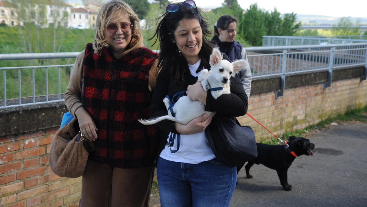 La passeggiata a sei zampe a Empoli (foto Regalami un sorriso)