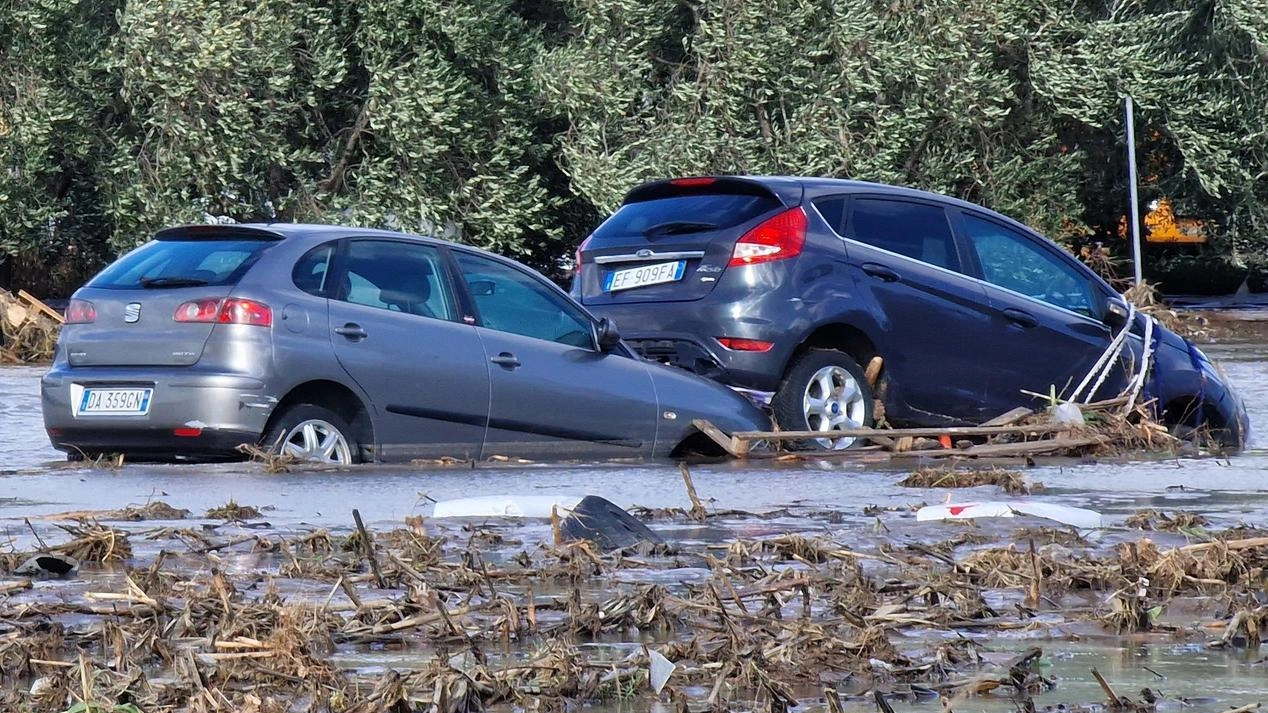 Il nodo delle automobili. Quanti mezzi da buttare: "Carroattrezzi oberati" Il nodo delle automobili. Quanti mezzi da buttare: "Carroattrezzi oberati"