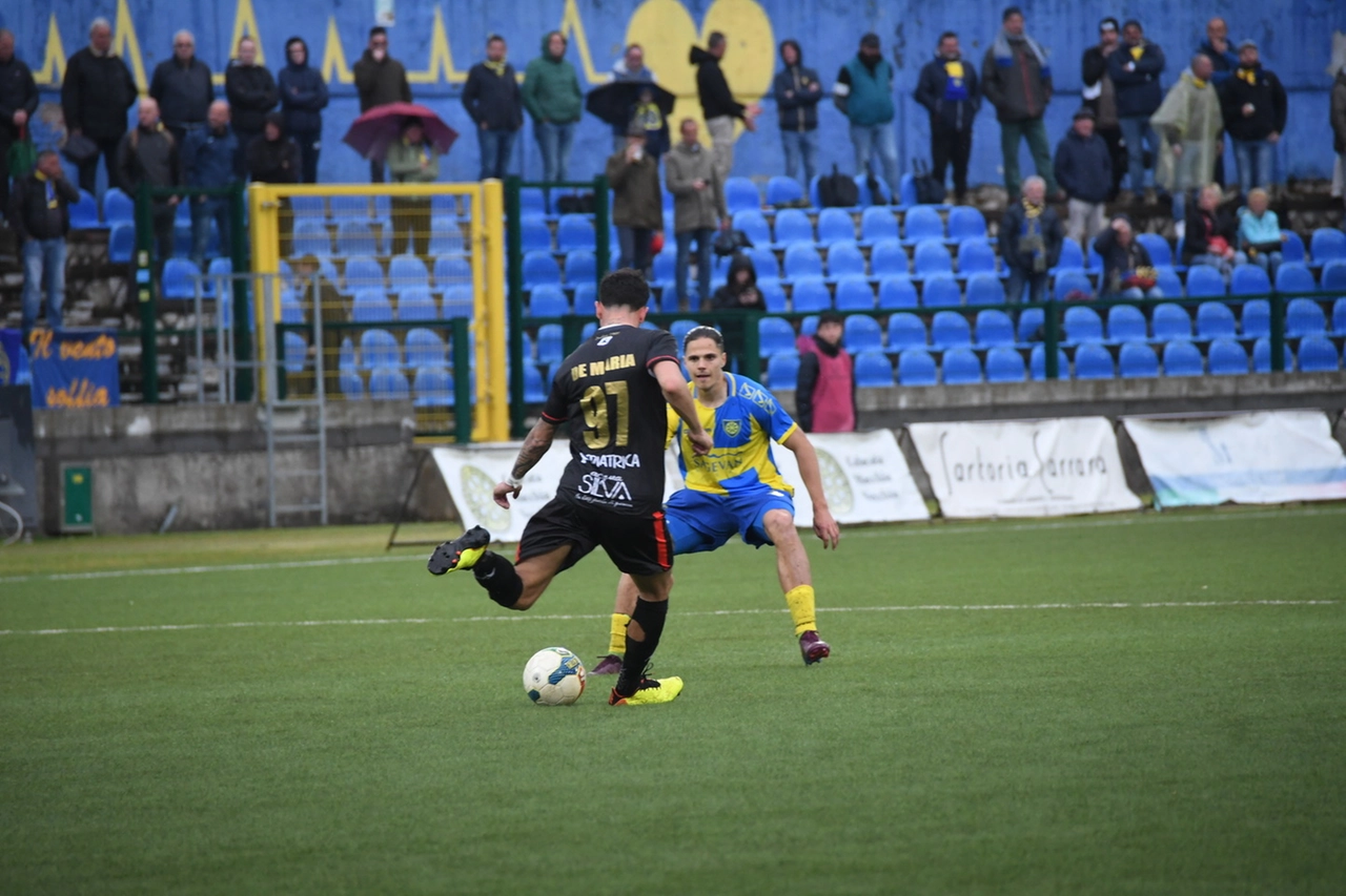 immagine di sfondo 14