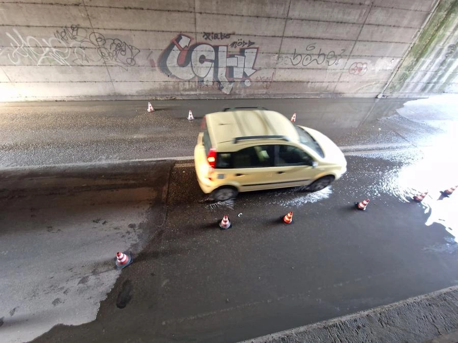 immagine di sfondo 4