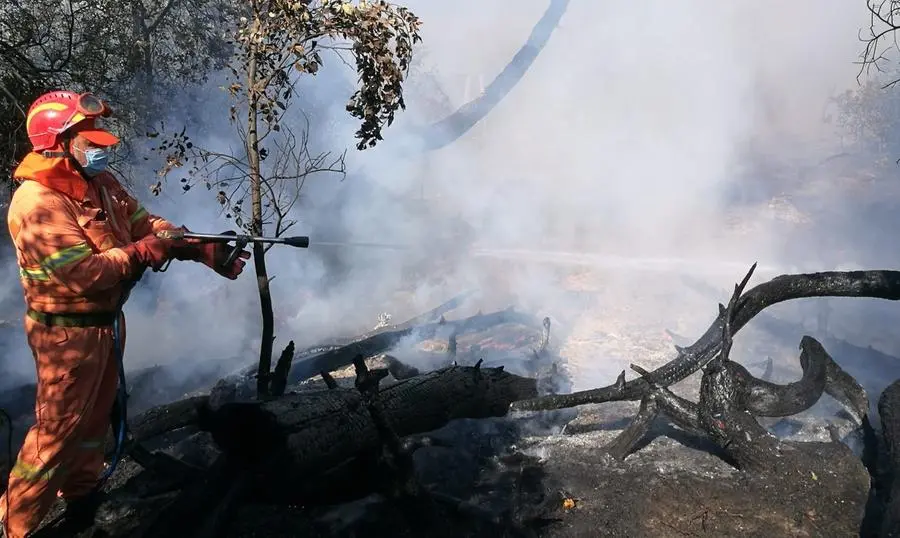 Incendi dolosi, la Lecciona "sotto attacco"