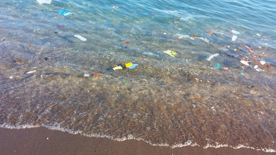 Ogni anno tonnellate di plastica finiscono in mare