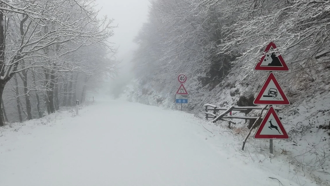 La neve sul Pratomagno, in provincia di Arezzo, nella mattina di sabato 18 gennaio