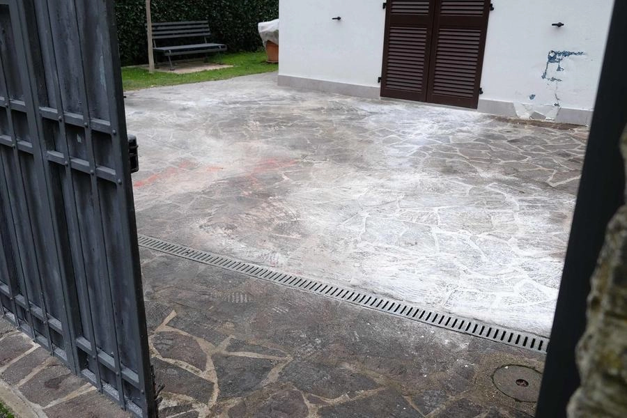 immagine di sfondo 3