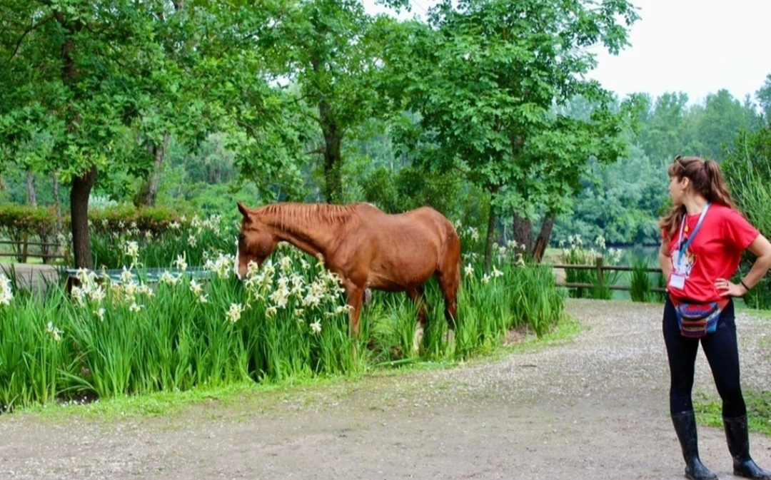 immagine di sfondo 8