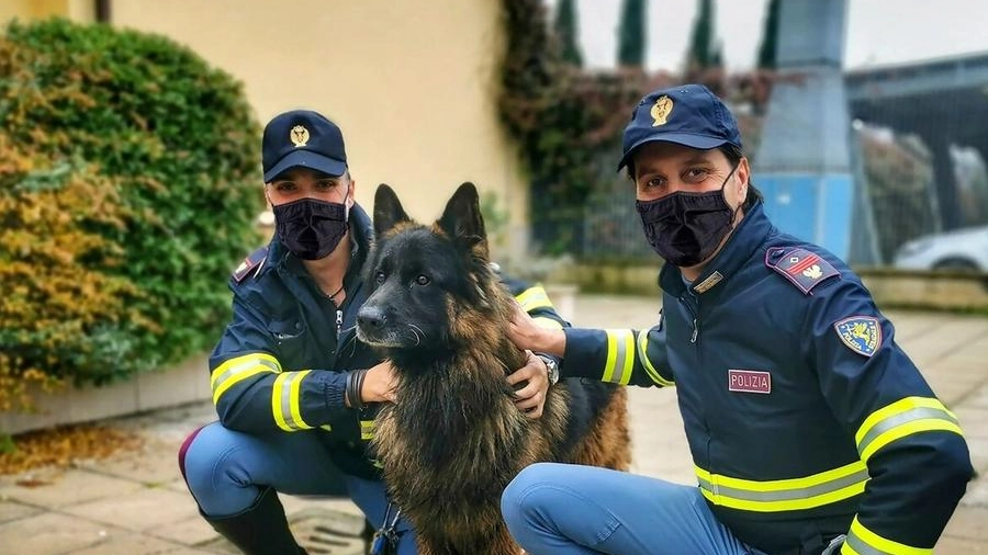 Il cane Otto  salvato dai poliziotti 