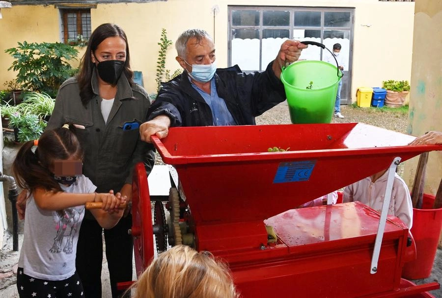 immagine di sfondo 1