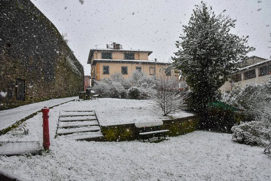 immagine di sfondo 15
