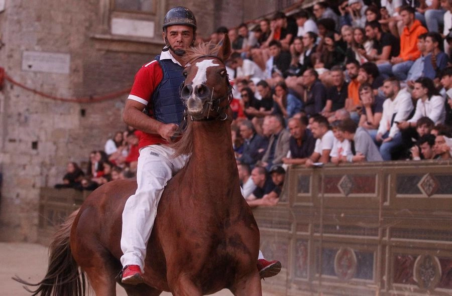 immagine di sfondo 11