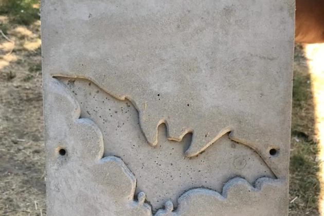 Una 'bat-box, casetta per i pipistrelli 