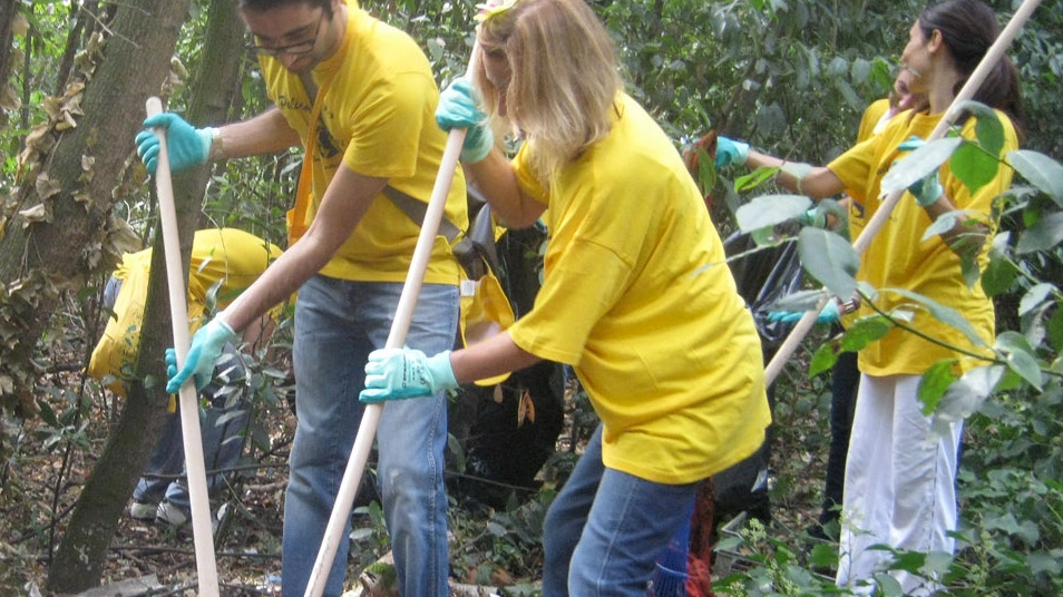 Volontari al lavoro per pulire una zona verde
