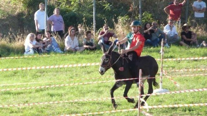 Weekend di eventi fino al Palio: Settembre Roccastradino con Musica, Tavola e Spettacoli
Weekend di eventi fino al Palio: Settembre Roccastradino con Musica, Tavola e Spettacoli