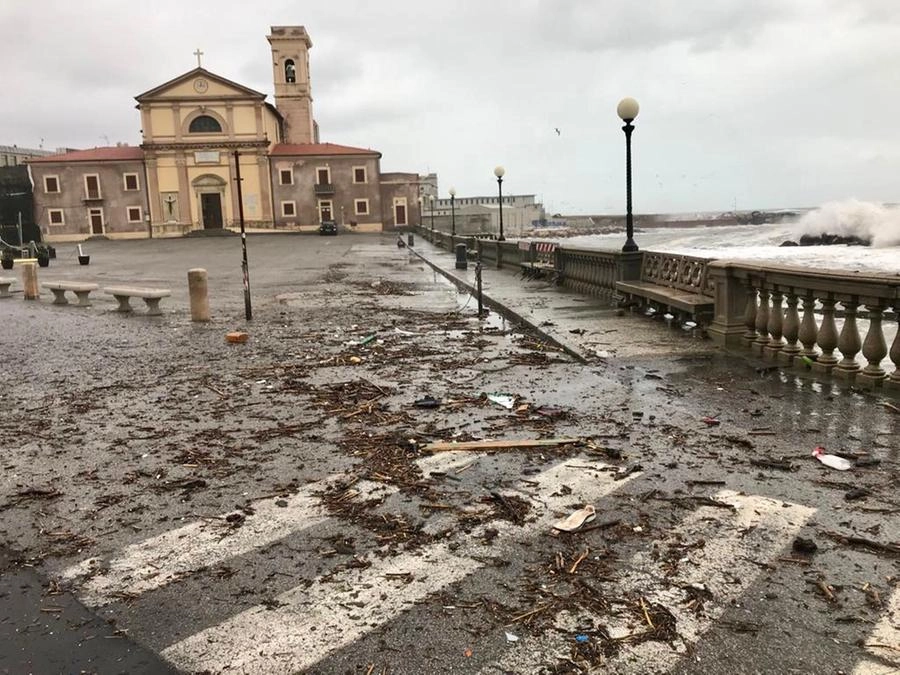 immagine di sfondo 8