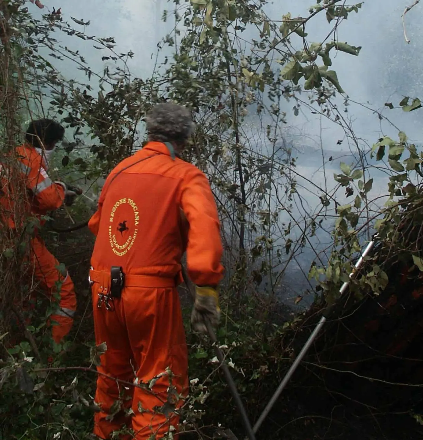 Ancora un incendio alla Lecciona: all’origine la mano di un piromane