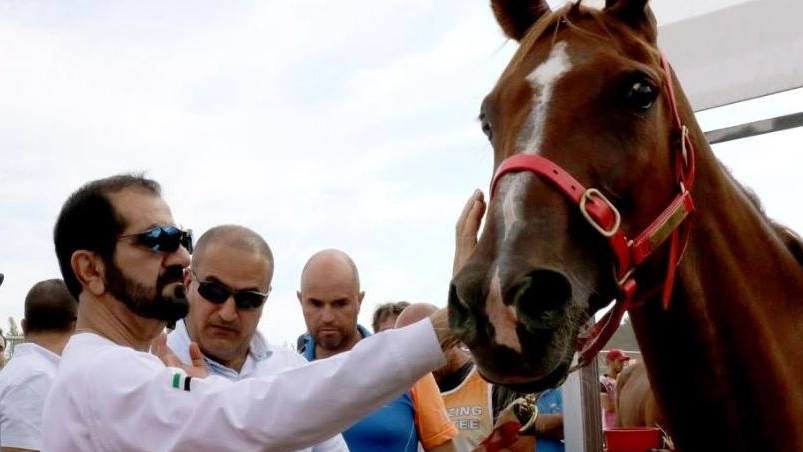 Sheikh Hamdan bin Mohammed bin Rashid Al Maktoum accarezza un cavallo a San Rossore