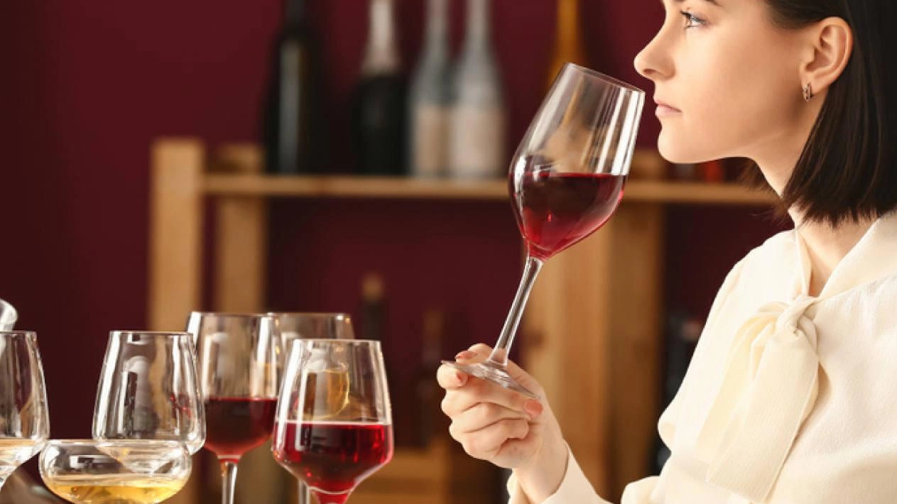 Il sogno di Gaiole in Chianti, ridare vita a vino di 2300 anni Il sogno di Gaiole in Chianti, ridare vita a vino di 2300 anni