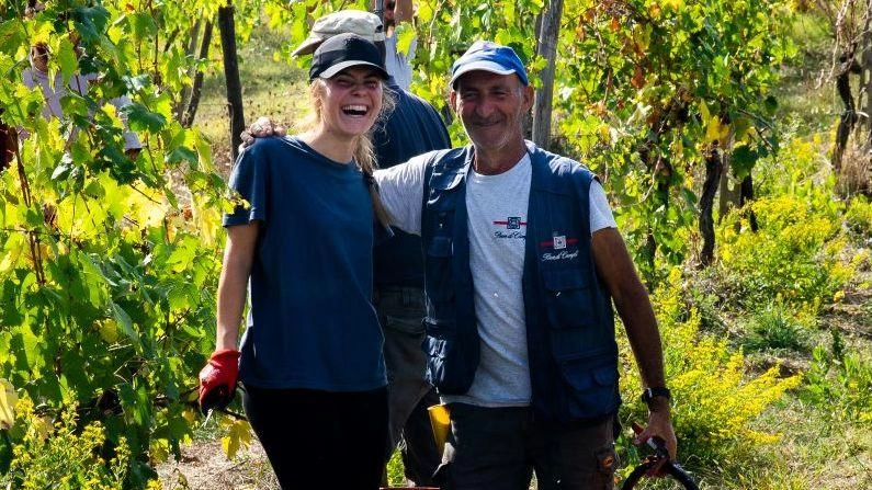La Chiesa investe sul vino: "Qui un Chianti classico perfetto per sostentare il clero" La Chiesa investe sul vino: "Qui un Chianti classico perfetto per sostentare il clero"