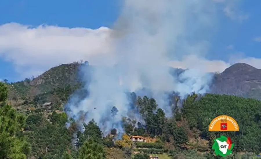 Incendio nei boschi di Montignoso, il vento spinge il fuoco sulla montagna