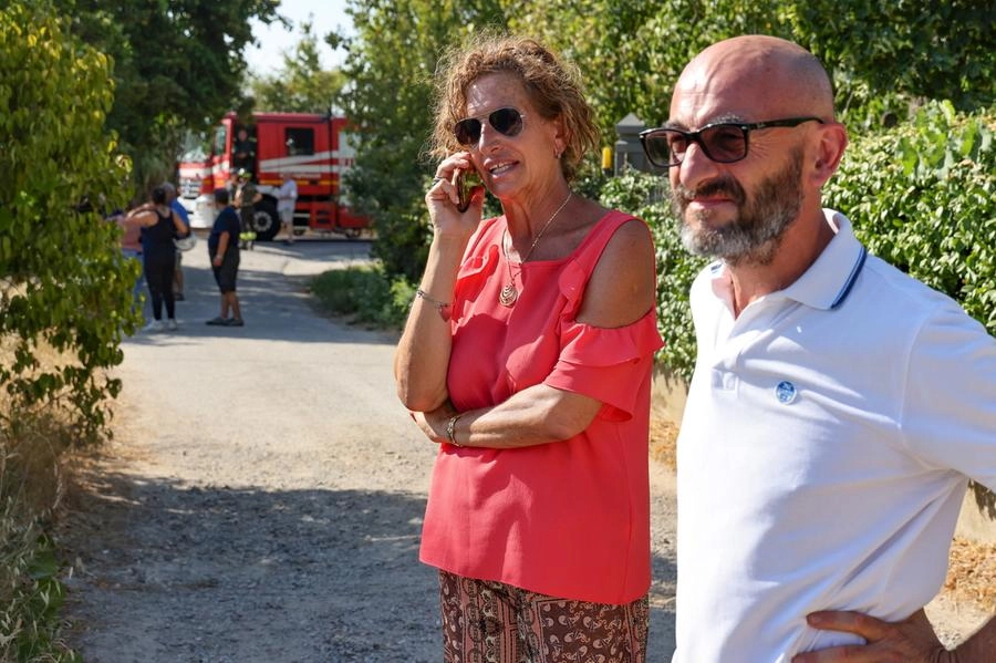 immagine di sfondo 44