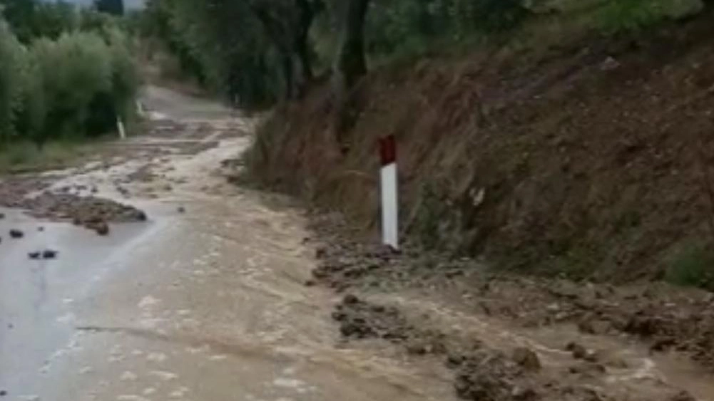 L’appello dell’agricoltura "Le campagne si spopolano Così aumentano le criticità" L’appello dell’agricoltura "Le campagne si spopolano Così aumentano le criticità"