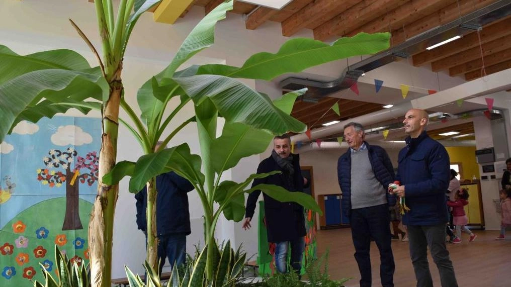 Aule a impatto zero e alberi da frutto. L’asilo di Montedoro sceglie il futuro