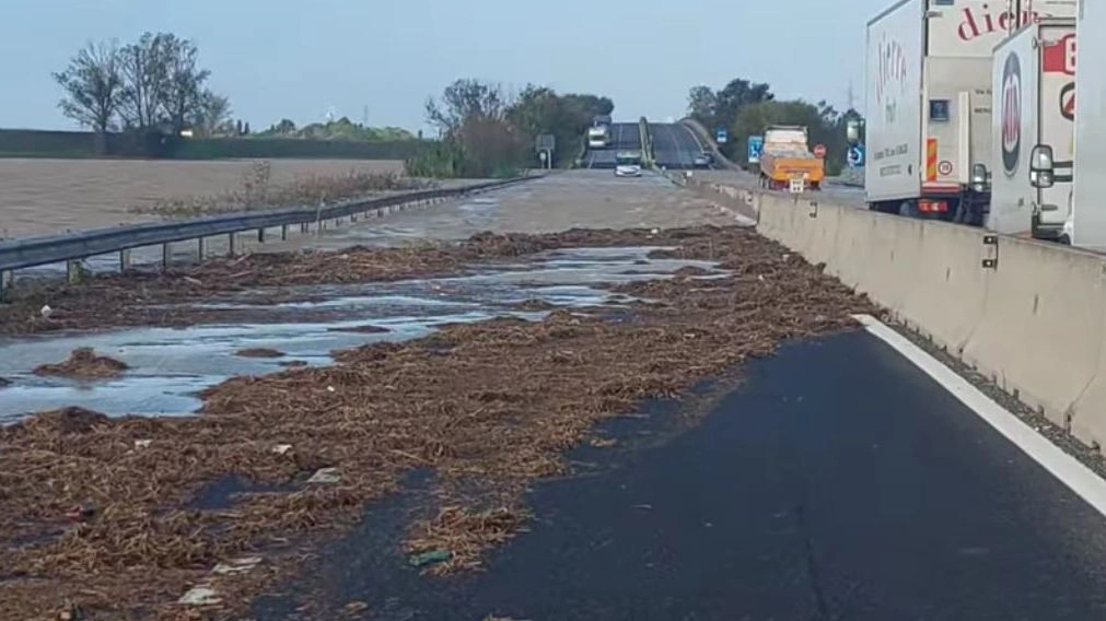 Uno scorcio della Fi-Pi-Li trasformata in palude nel tratto Interporto-Lavoria