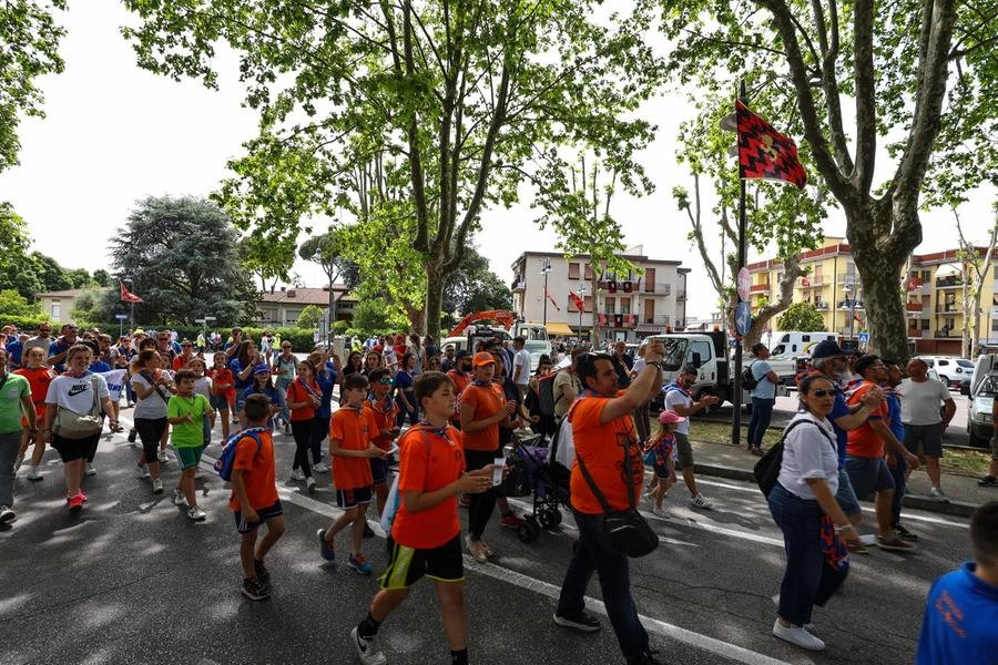 immagine di sfondo 59