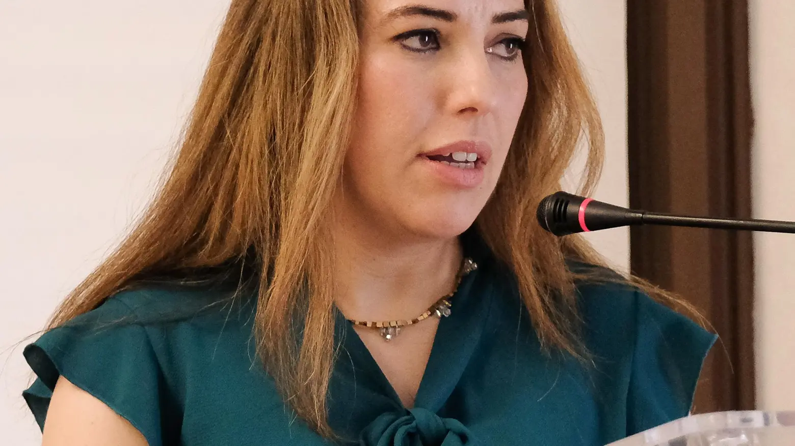 Marcia della Pace, la voce forte Arriva la moglie di Assange "Difendere la libertà di tutti" Marcia della Pace, la voce forte Arriva la moglie di Assange "Difendere la libertà di tutti"