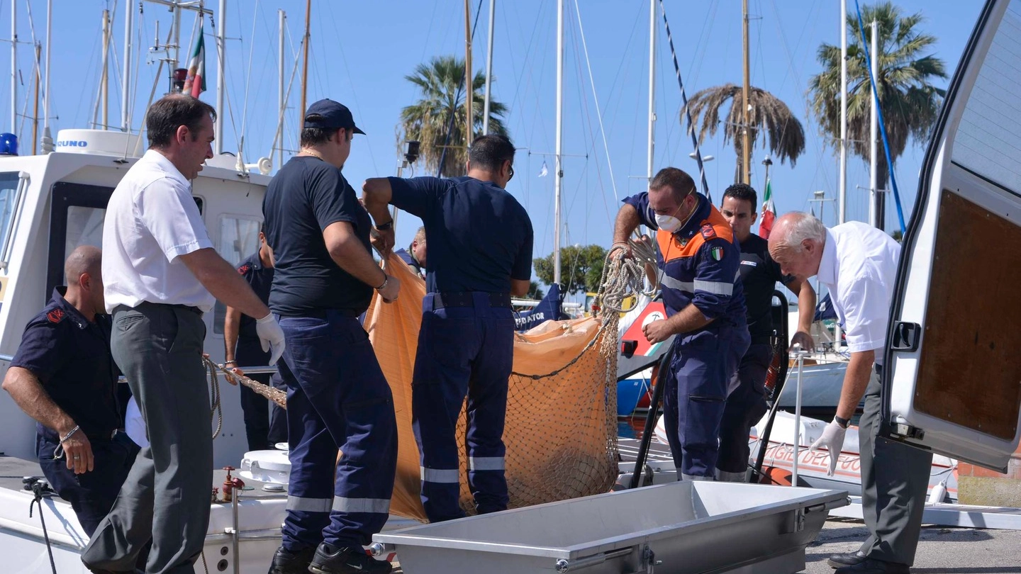 La Guardia Costiera recupera un corpo in mare (foto Umicini)