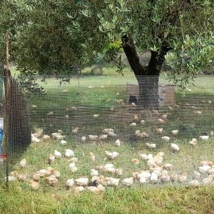 immagine di sfondo 14