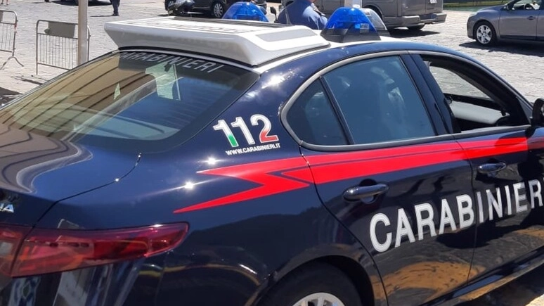 Delle indagini si stanno occupando i carabinieri (foto Ansa)