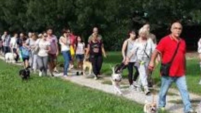 Ecco la “Zamp-eggiata“ Anpana Cani protagonisti lungo il fiume Ecco la “Zamp-eggiata“ Anpana Cani protagonisti lungo il fiume