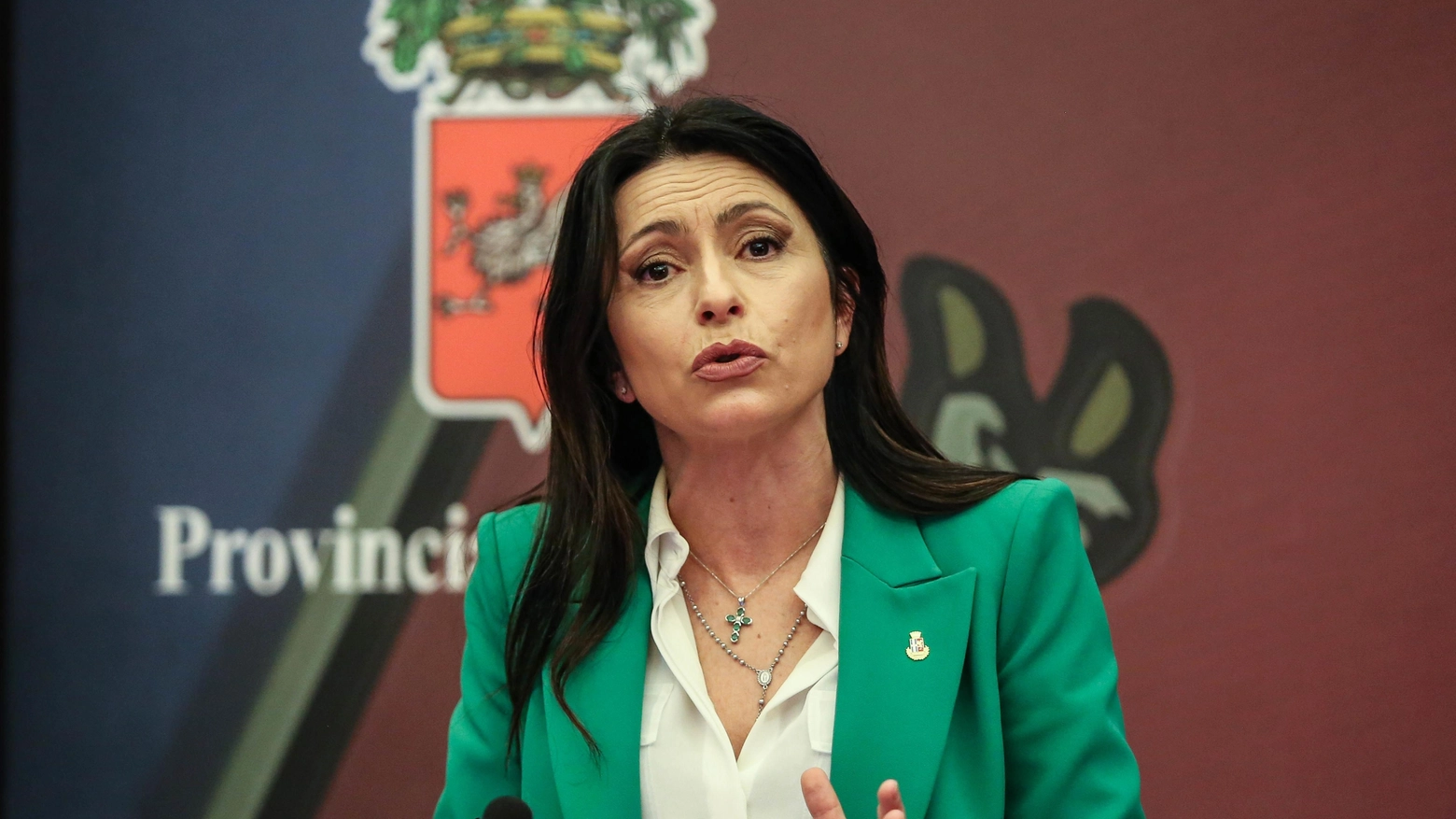 Provincia, Dominici resta Chiesto parere al Ministero Provincia, Dominici resta Chiesto parere al Ministero