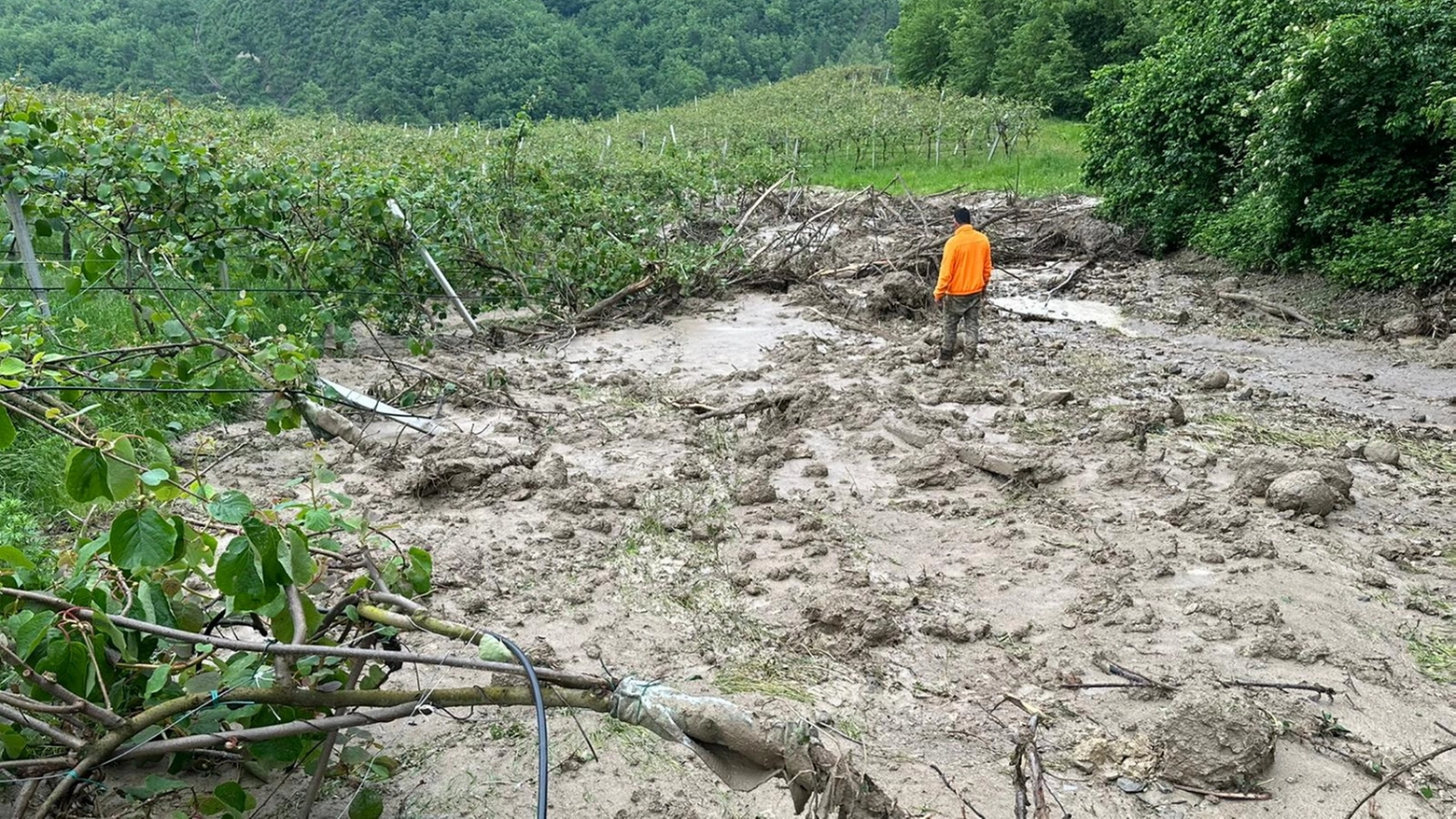 La proroga coinvolge imprese e cittadini di Firenzuola, Londa, Marradi e Palazzuolo sul Senio. Cosa succede dal 1 novembre